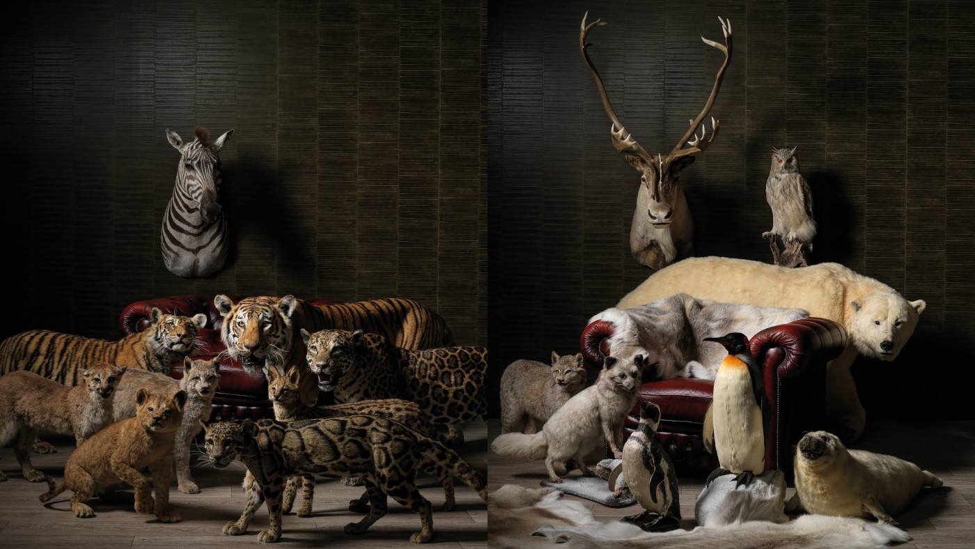 Taxidermy By Max